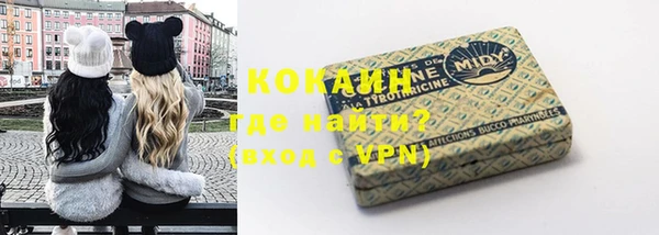 СК Алексин